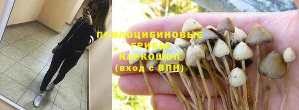 прущая мука Аркадак